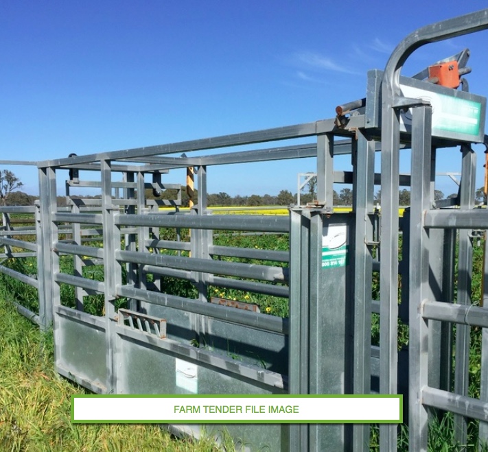 Cow Catcher, Portable Yard & Loading Ramp Livestock Equipment